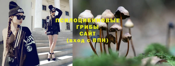 Альфа ПВП Баксан