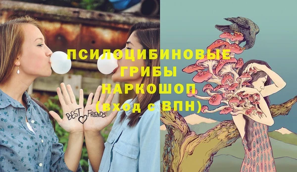 Альфа ПВП Баксан