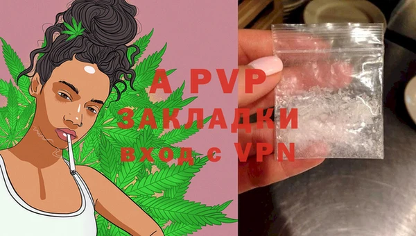 Альфа ПВП Баксан