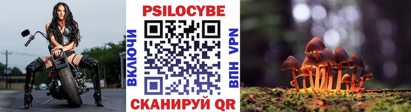 Псилоцибиновые грибы мицелий  дарк нет Telegram  Губаха  MEGA  